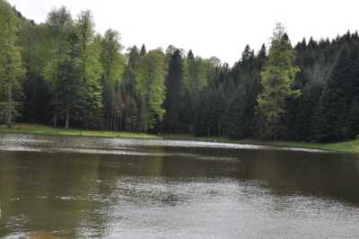 Torkul Yaylası ve Göleti